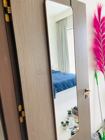 Door Mirror (Very Practical)