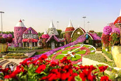Miracle garden