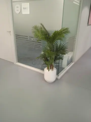 Artificial Ficus