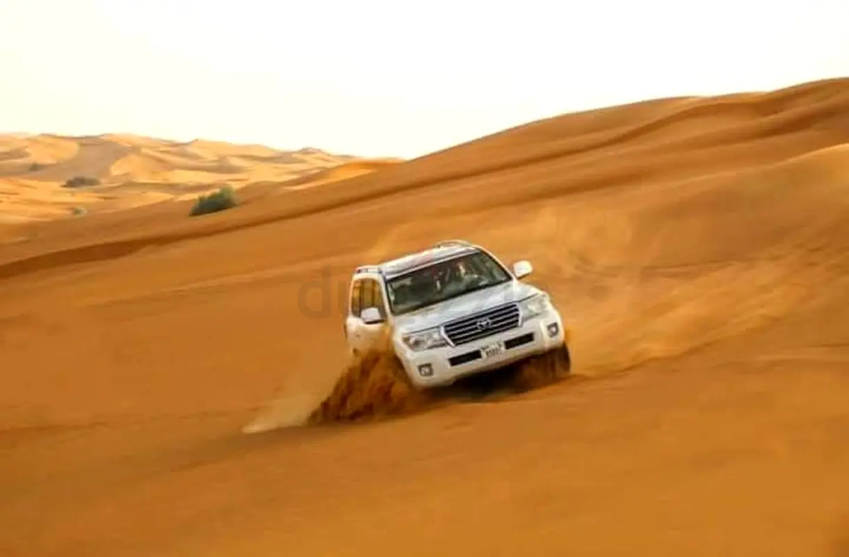 DPV_View_Image_8