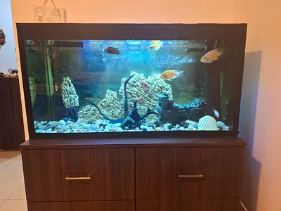 Large Fish Aquarium with Cabinet - 4ft, Ready to Use