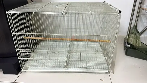 Free Metal bird cage with perches and removable trays
