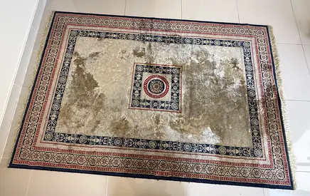 Carpet in excellent condition