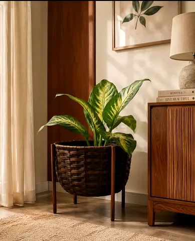 Woven Basket Planter on Wooden Stand with Large Green Houseplant