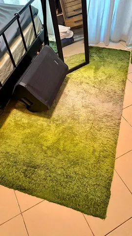 Stylish Green Gradient Shaggy Rug