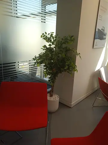 Artificial Ficus