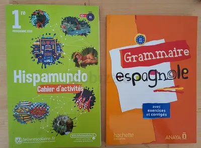 Hispamundo Cahier dactivités + Grammaire Espagnole (pair). French to spanish.