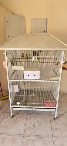 Cage for birds