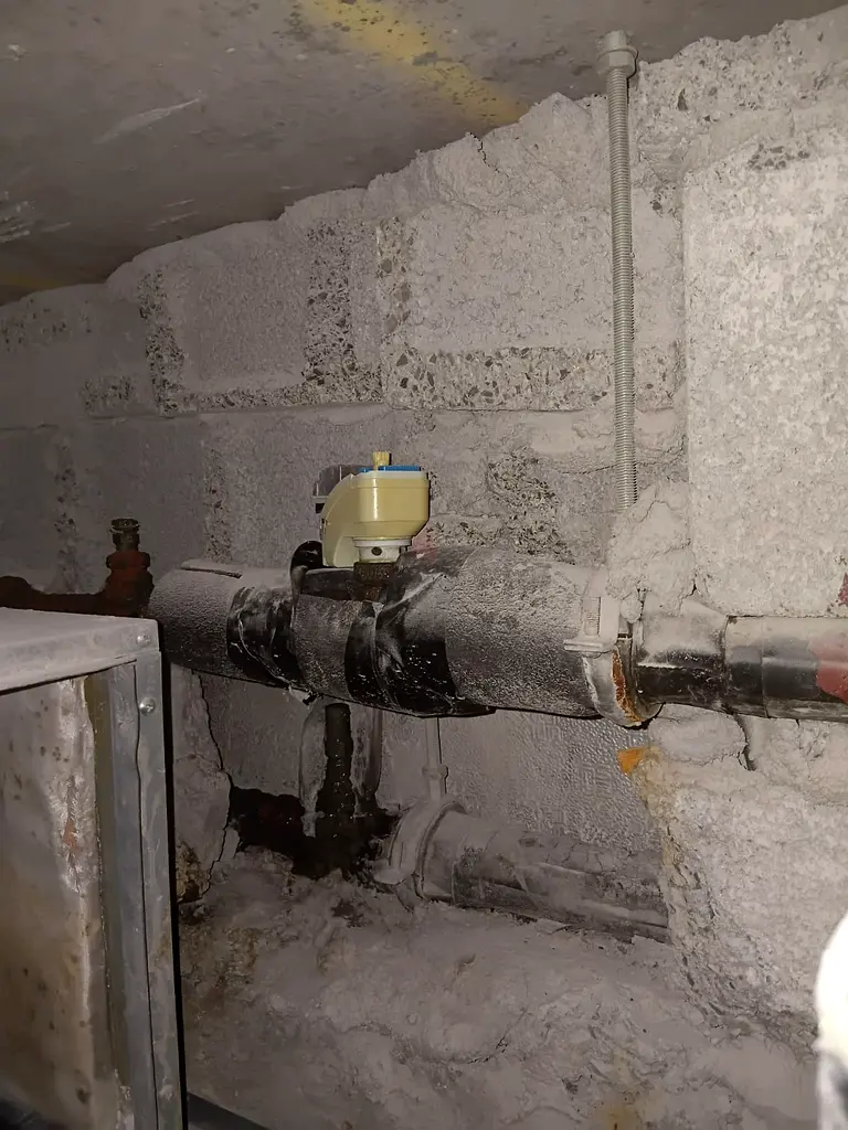 DPV_View_Image_2