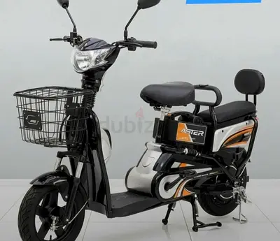 Aster Electric City Scooter with Basket and Backrest - Good Condition