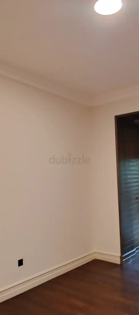 DPV_View_Image_2