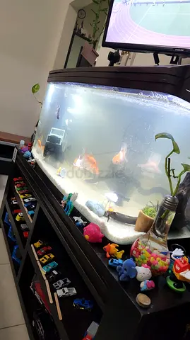 Used Aquarium Fish Tank with Hood and Filtration - 3ft (approx.)