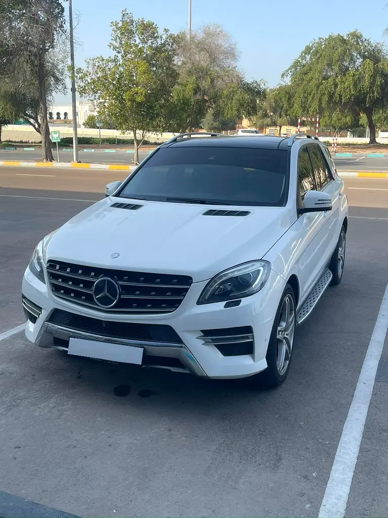 Mercedes-Benz M-Class 2014 — photo 1 of 15