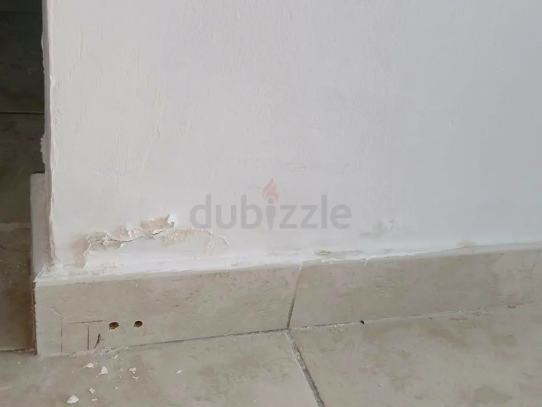 DPV_View_Image_1