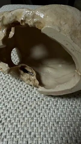 Decorative skull for aquarium