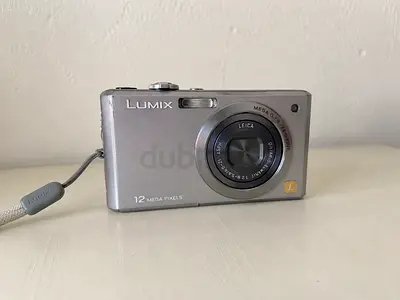 Panasonic Lumix 12MP Compact Point-and-Shoot Camera (Silver)