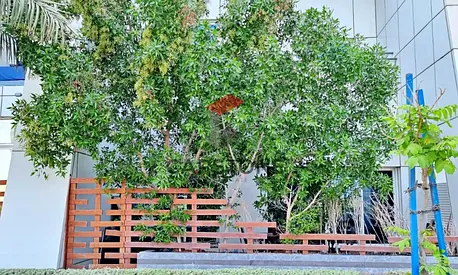 Direct Sea View | Townhouse | Private Outdoor Space