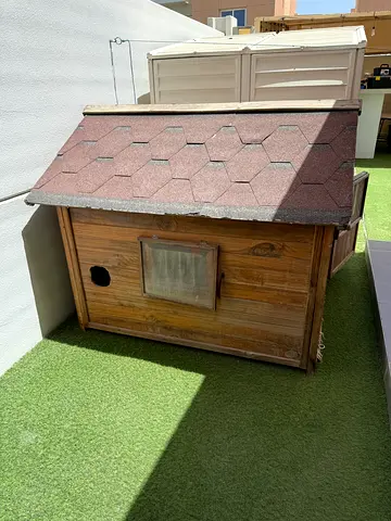 Dog House