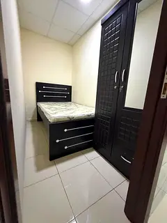 partisan available for rent