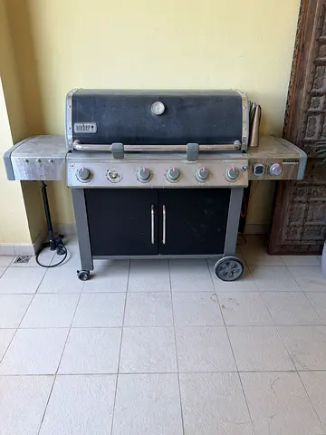 Weber Genesis Gas Grill