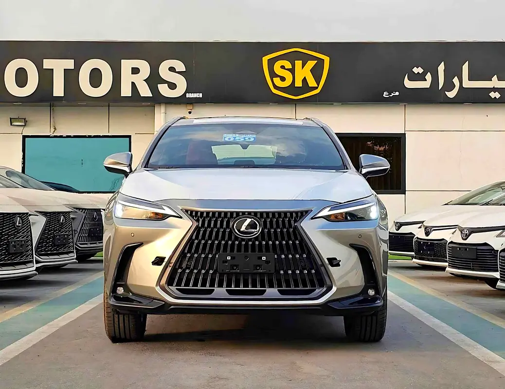 Lexus NX-Series 2025 — photo 1 of 17