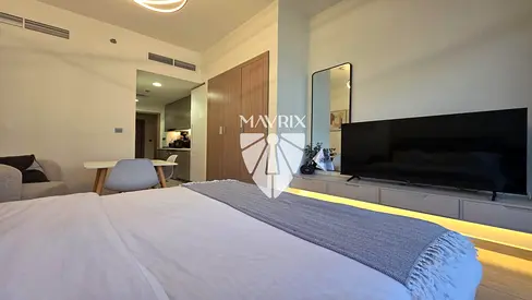 Fully Furnished I Well MaintainedIReady To Move In