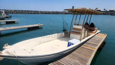 27 ft Twin Engines 2x115 hp