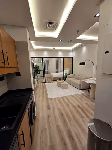 Fully Furnished I Brand New Renovated I Luxury Studio