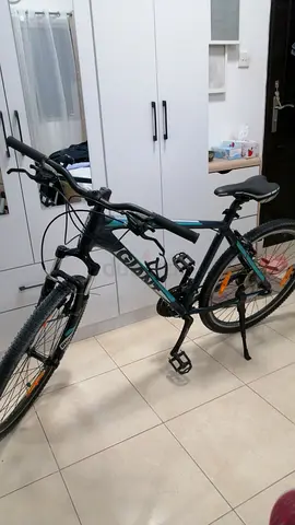 Mountain bike