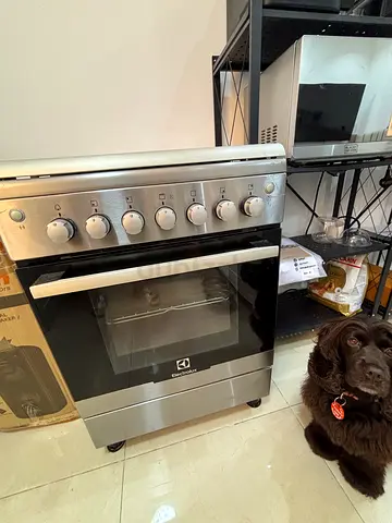 Oven/ Hob