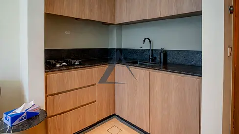 Pay 12 Cheques | Pool View | Furnished