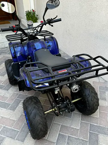 ATV petrol used 6 months 125 CC