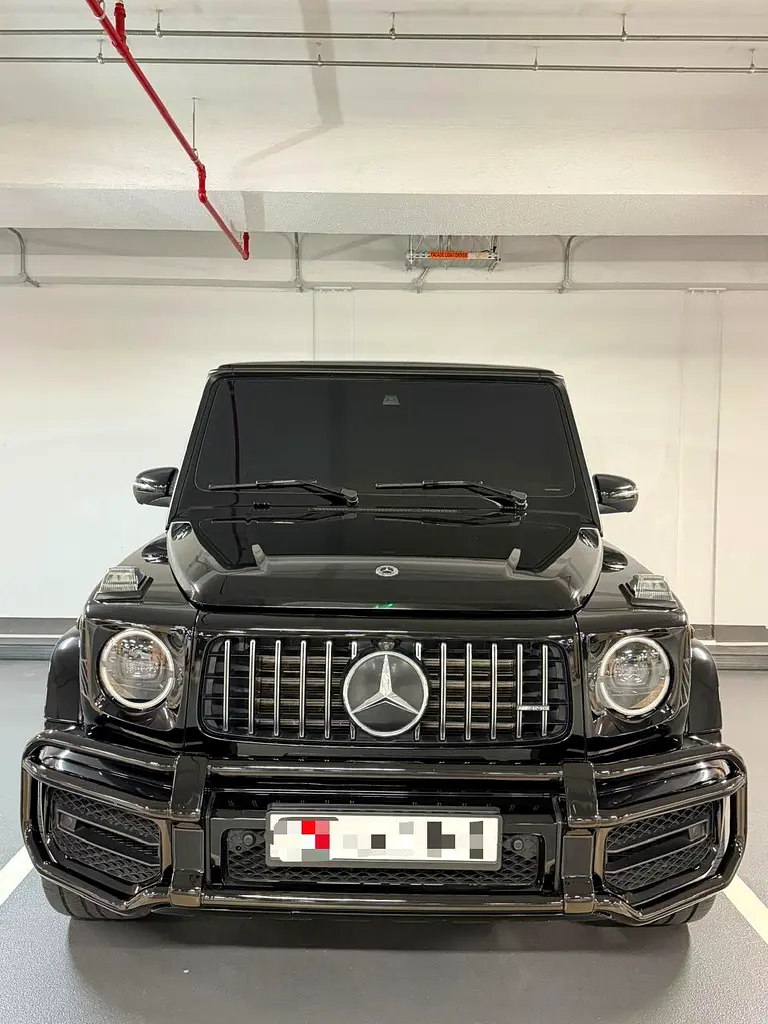 Mercedes-Benz G-Class 2021 — photo 1 of 6