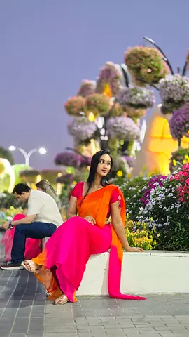 Chiffon saree