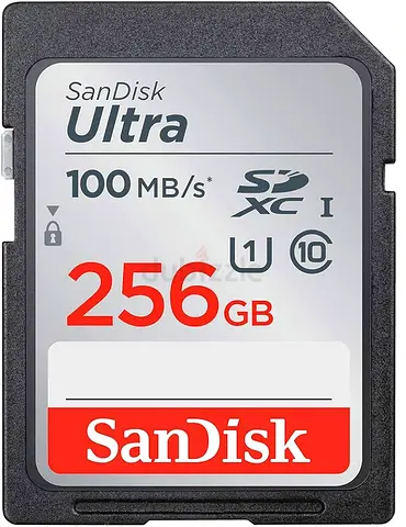 SD Card 256 GB AED-15