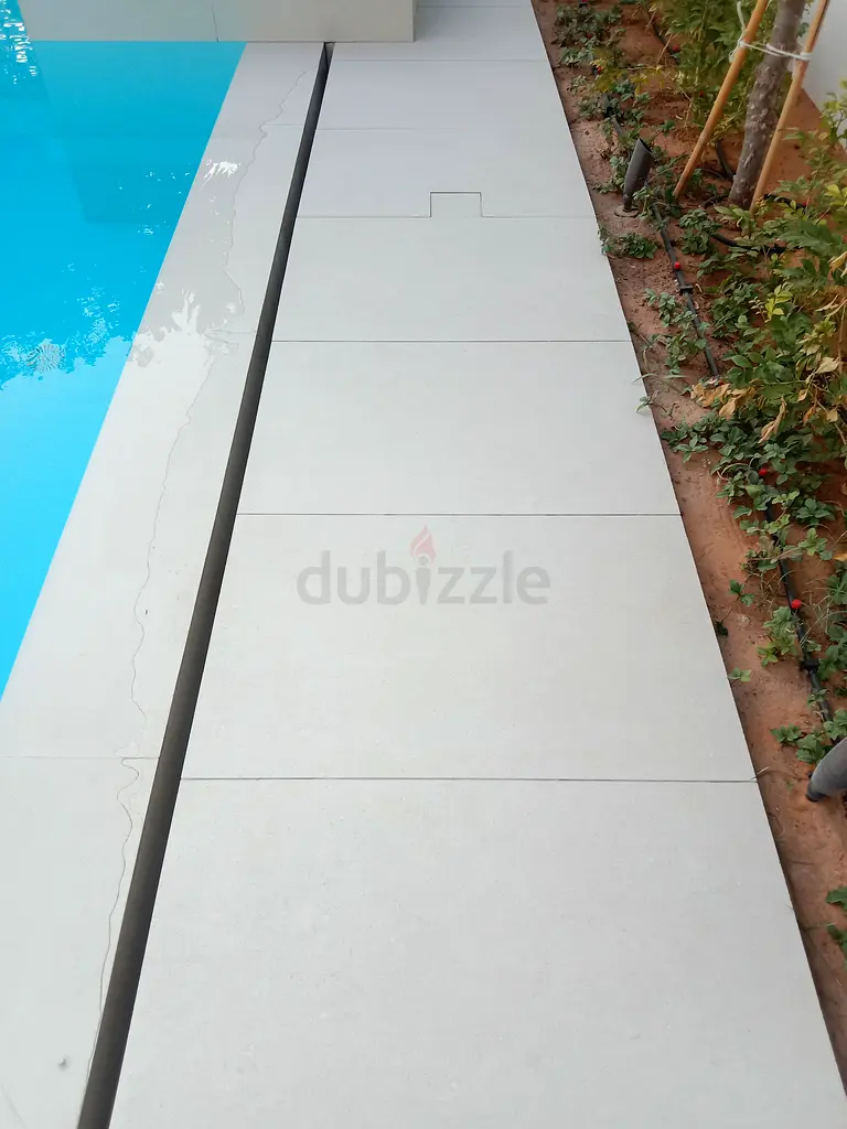 DPV_View_Image_0