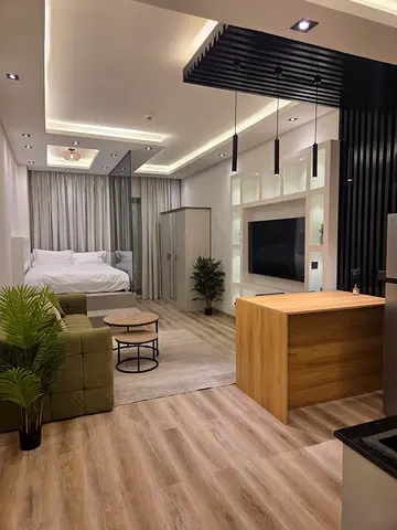 Fully Furnished I Brand New Renovated I Spacious Luxury Studio