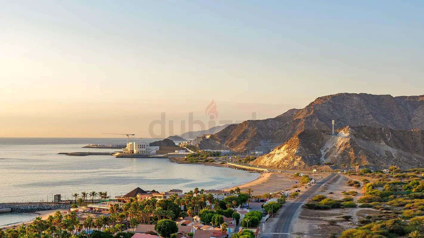 DPV_View_Image_1