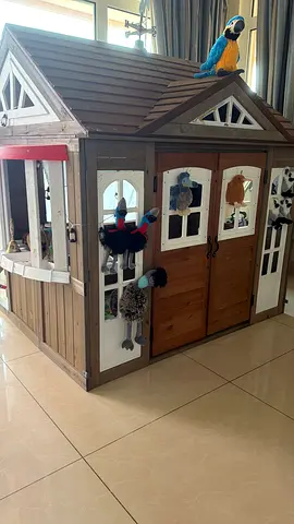 Wooden Playhouse with Decorative Stuffed Birds — Good Condition slide with swing and two beds