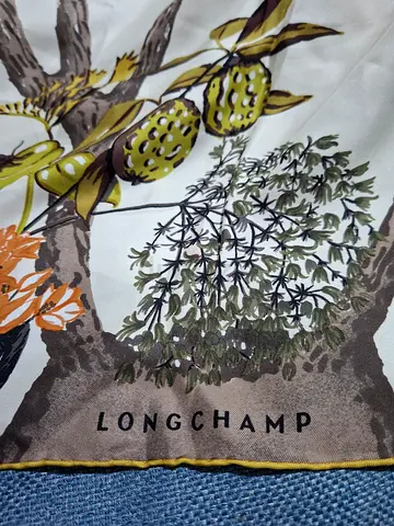 Longchamp scarf original
