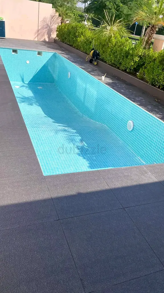 DPV_View_Image_3