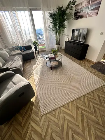 Carpet 200 x 300