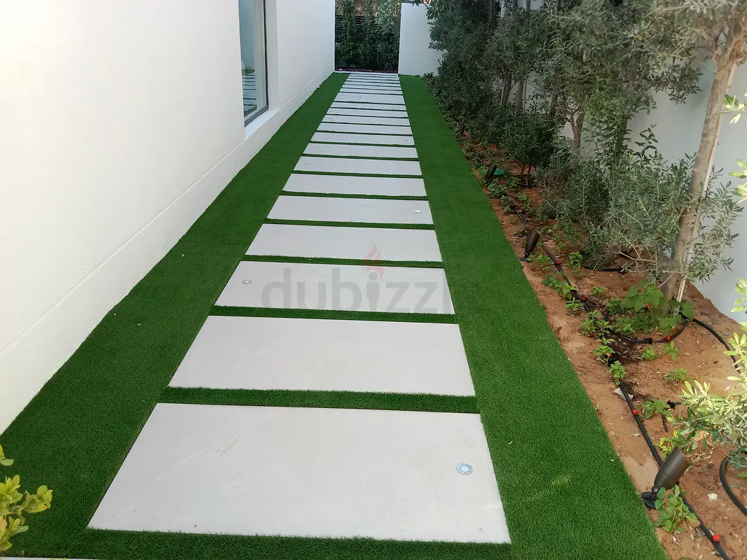 DPV_View_Image_1