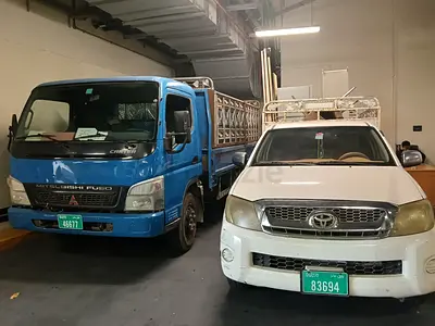 Mover UAE shifting office home warehouse