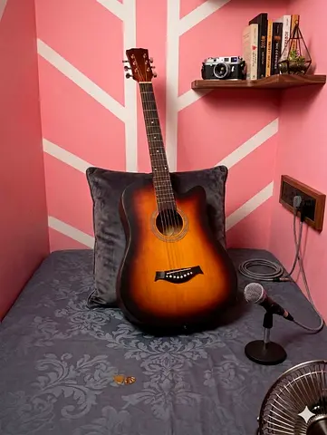 Acoustic guitar