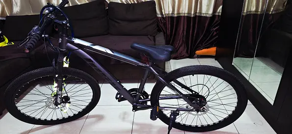 bike with front suspension and disc brakes