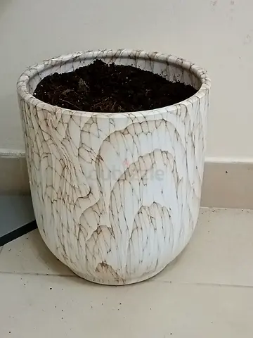 White textured ceramic planter pot - medium