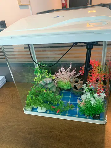 Small Desktop Aquarium Tank with Plants and Decor g