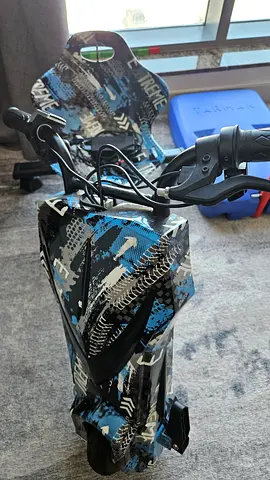 Electric bike