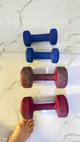 Set of 4 Neoprene Dumbbells (Light Weights) - Good Condition
